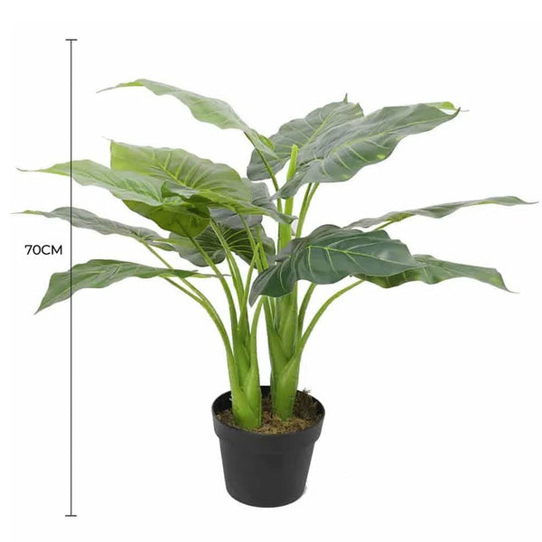 Artificial Potted Taro Plant / Elephant Ear 70cm — gallery image 6