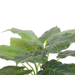 Artificial Potted Taro Plant / Elephant Ear 70cm - Designer Vertical Gardens Artificial Shrubs and Small plants Office and House plants