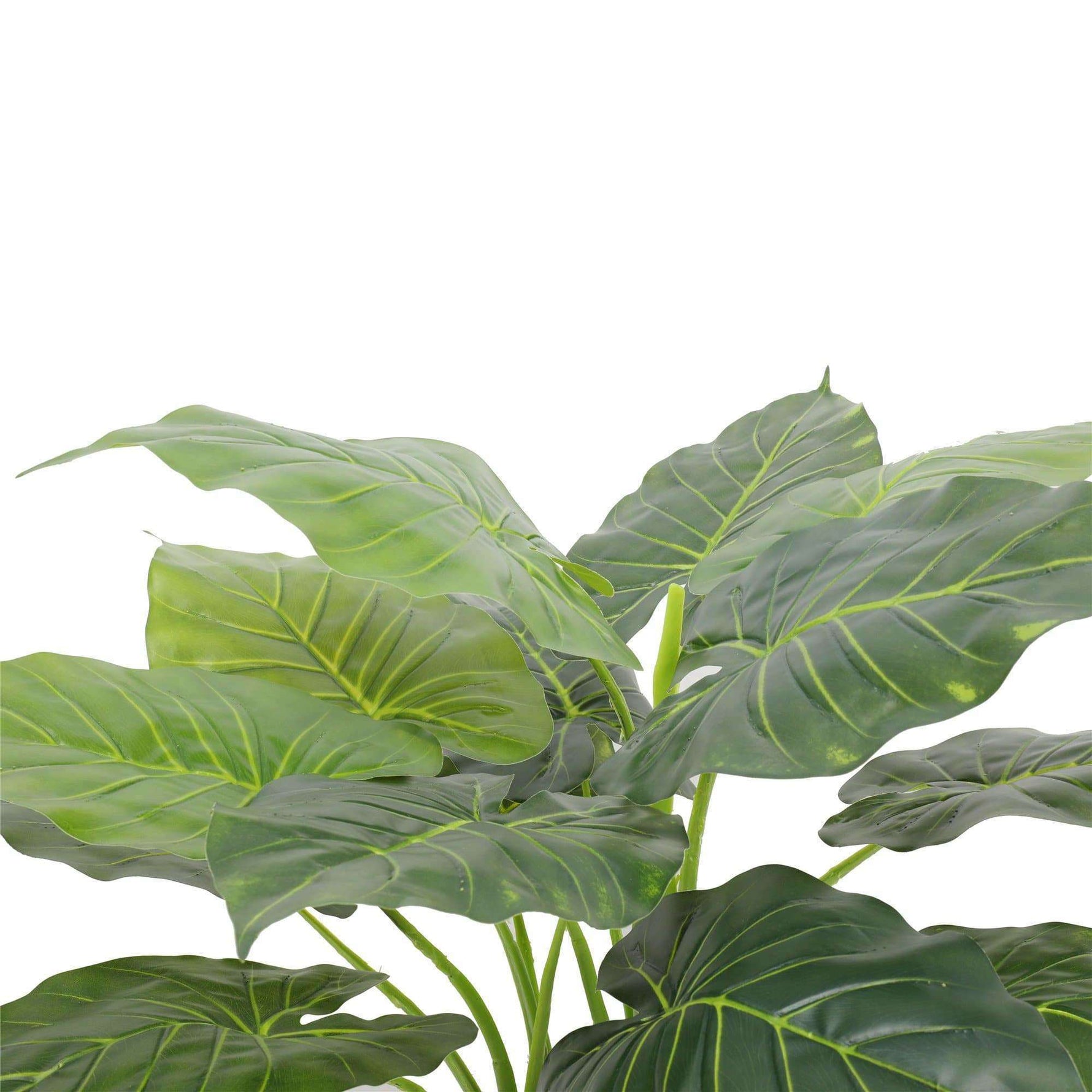 Artificial Potted Taro Plant / Elephant Ear 70cm - Designer Vertical Gardens Artificial Shrubs and Small plants Office and House plants