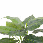 Artificial green leaves on a white background