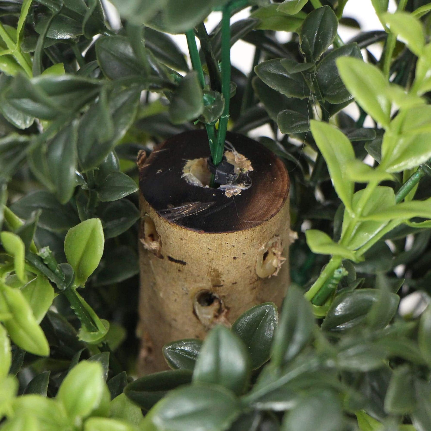 Artificial plant with a wooden base and green leaves