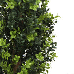 Artificial boxwood bush on a white background
