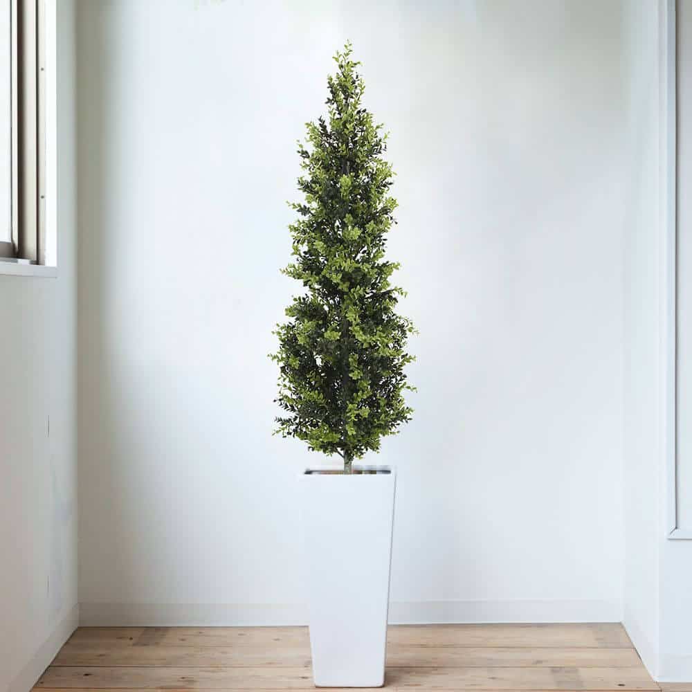 Tall potted plant in a white pot against a plain white wall.