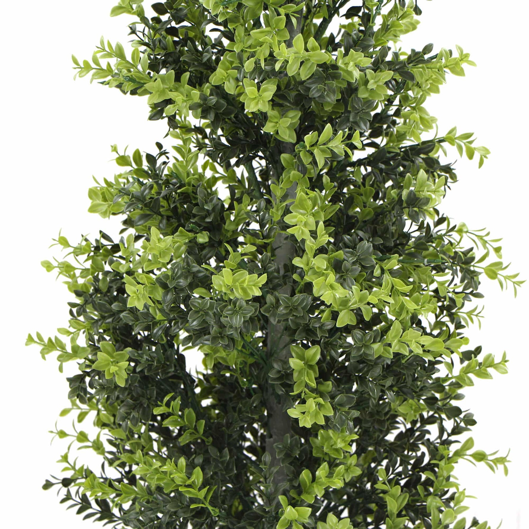 Artificial green bush on a white background