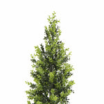 Artificial boxwood bush on a white background