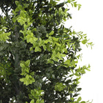 Close-up of artificial green leaves on a white background