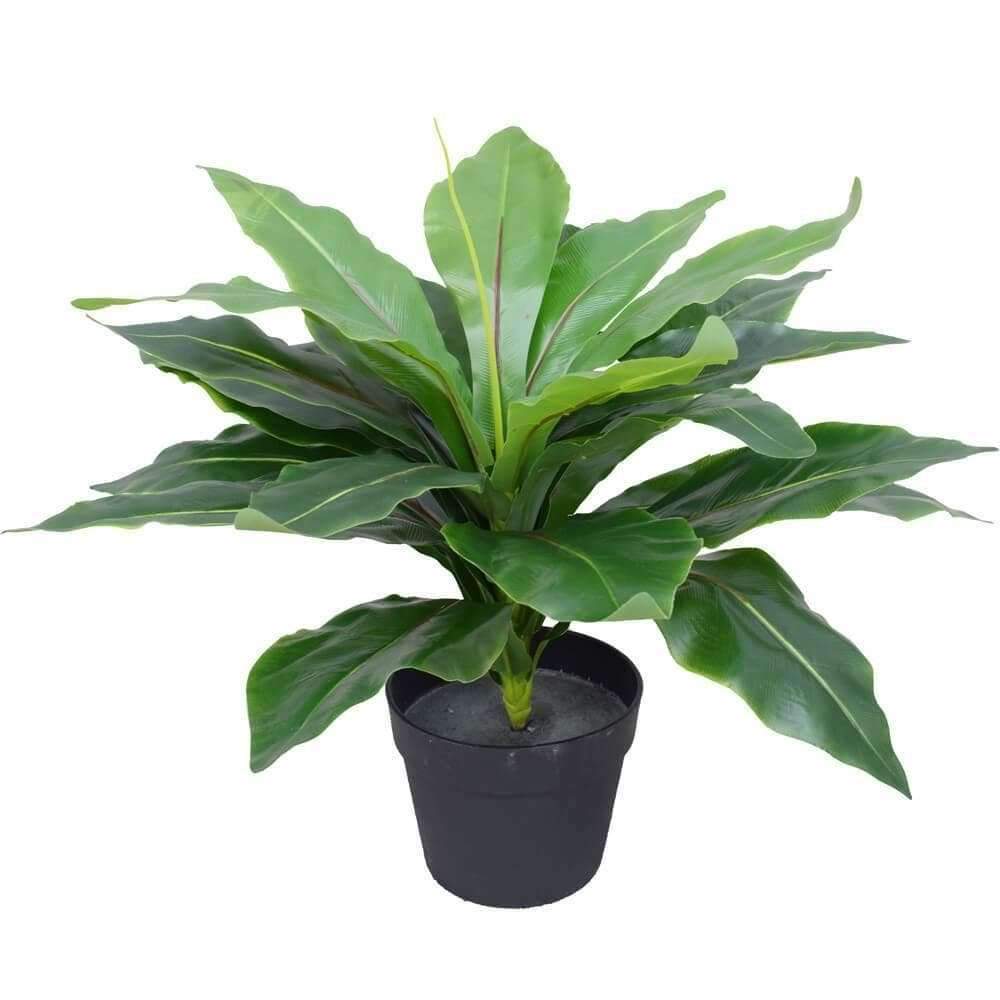 Artificial Potted Wide Leaf Birds Nest Fern 50cm — gallery image