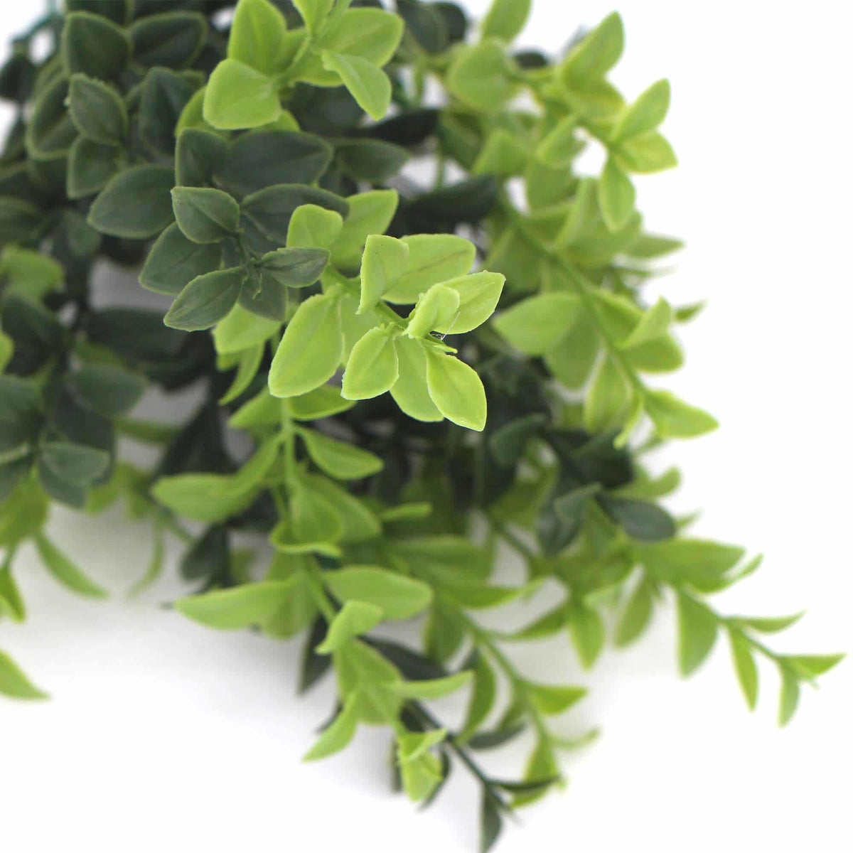 Artificial Rounded Boxwood Stem UV 30cm — gallery image