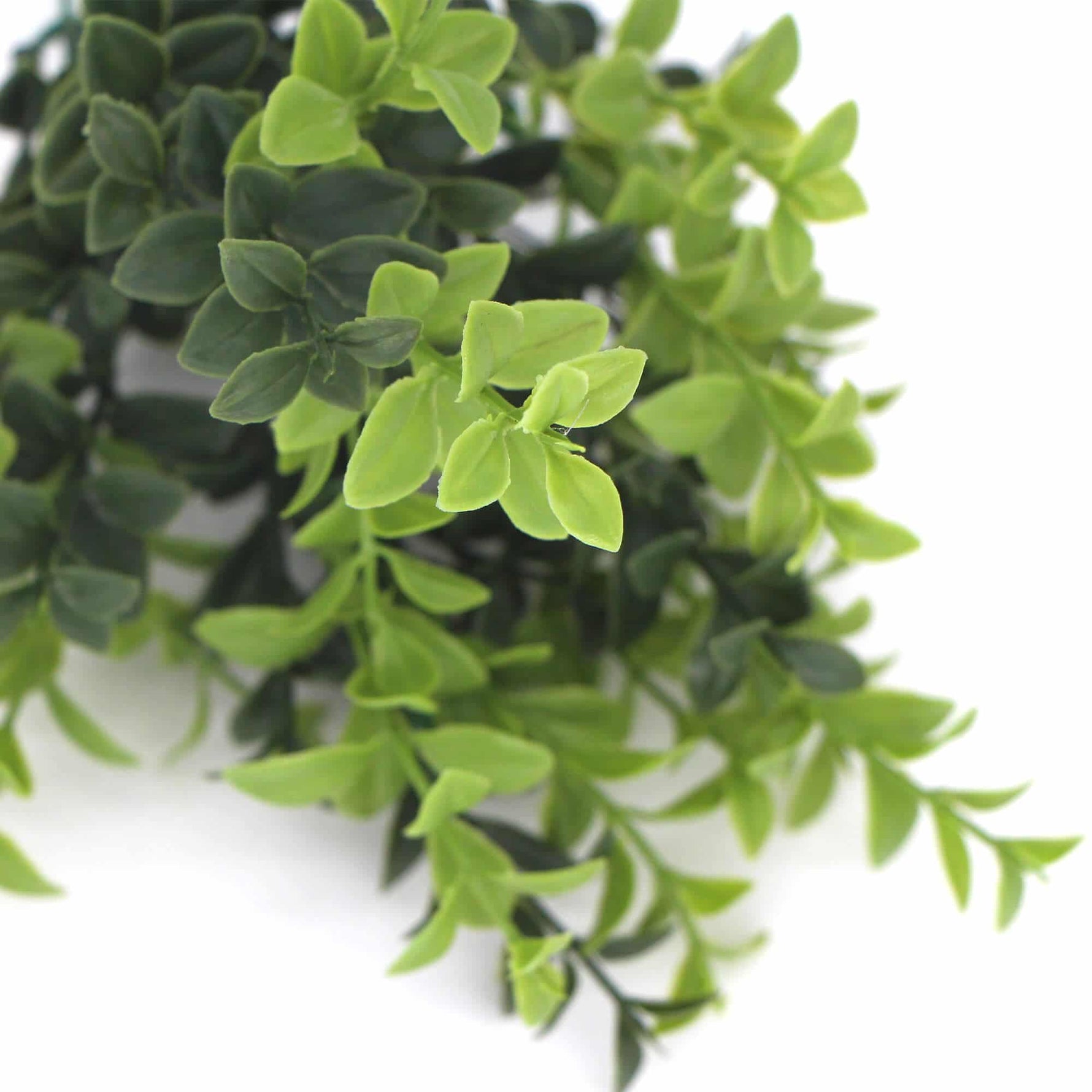 Artificial Rounded Boxwood Stem UV 30cm - Designer Vertical Gardens boxwood fake plant stem