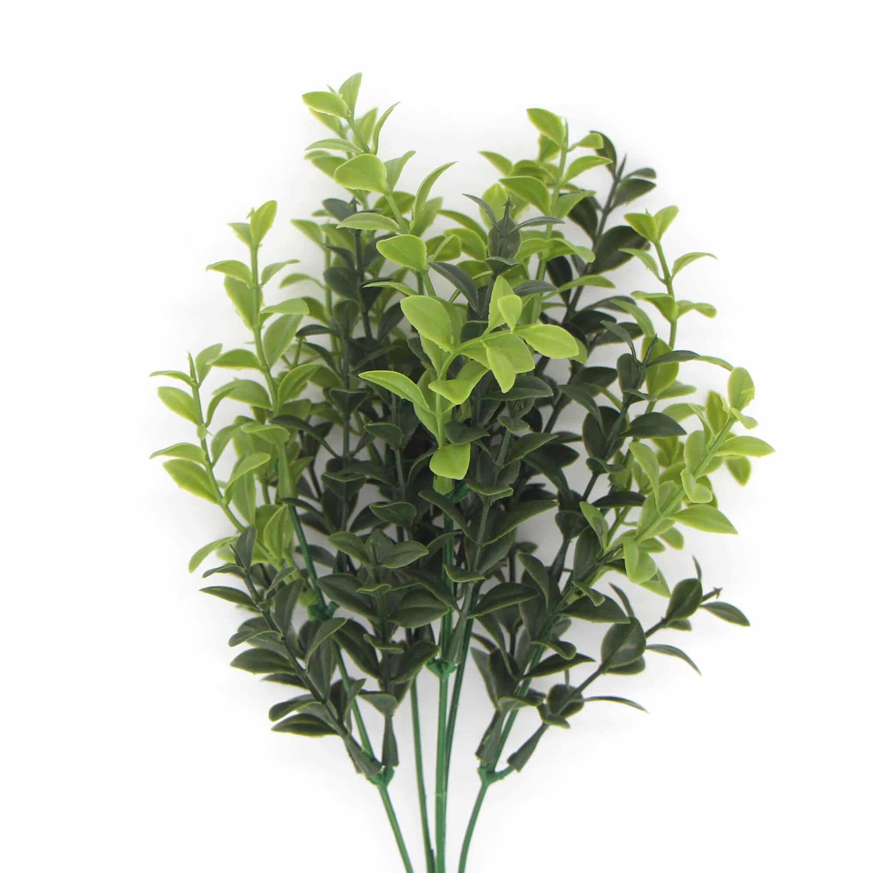Artificial Rounded Boxwood Stem UV 30cm - Designer Vertical Gardens boxwood fake plant stem