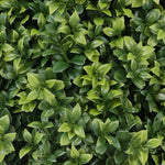 Artificial Single Ball Topiary Tree 63cm - UV Resistant - Designer Vertical Gardens artificial topiary Artificial Trees
