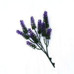 Artificial lavender branch on a white background