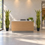Artificial Snake Plant 150cm - UV Resistant Sansevieria with Yellow Edges - Designer Vertical Gardens Artificial Shrubs and Small plants Artificial Trees