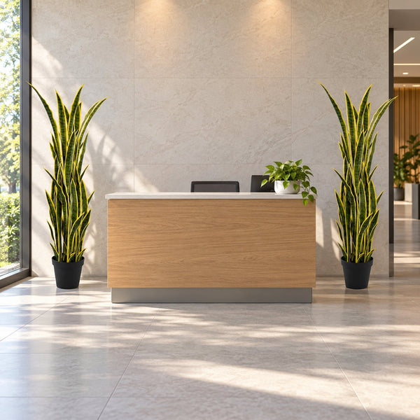 Artificial Snake Plant 150cm - UV Resistant Sansevieria with Yellow Edges — gallery image 8