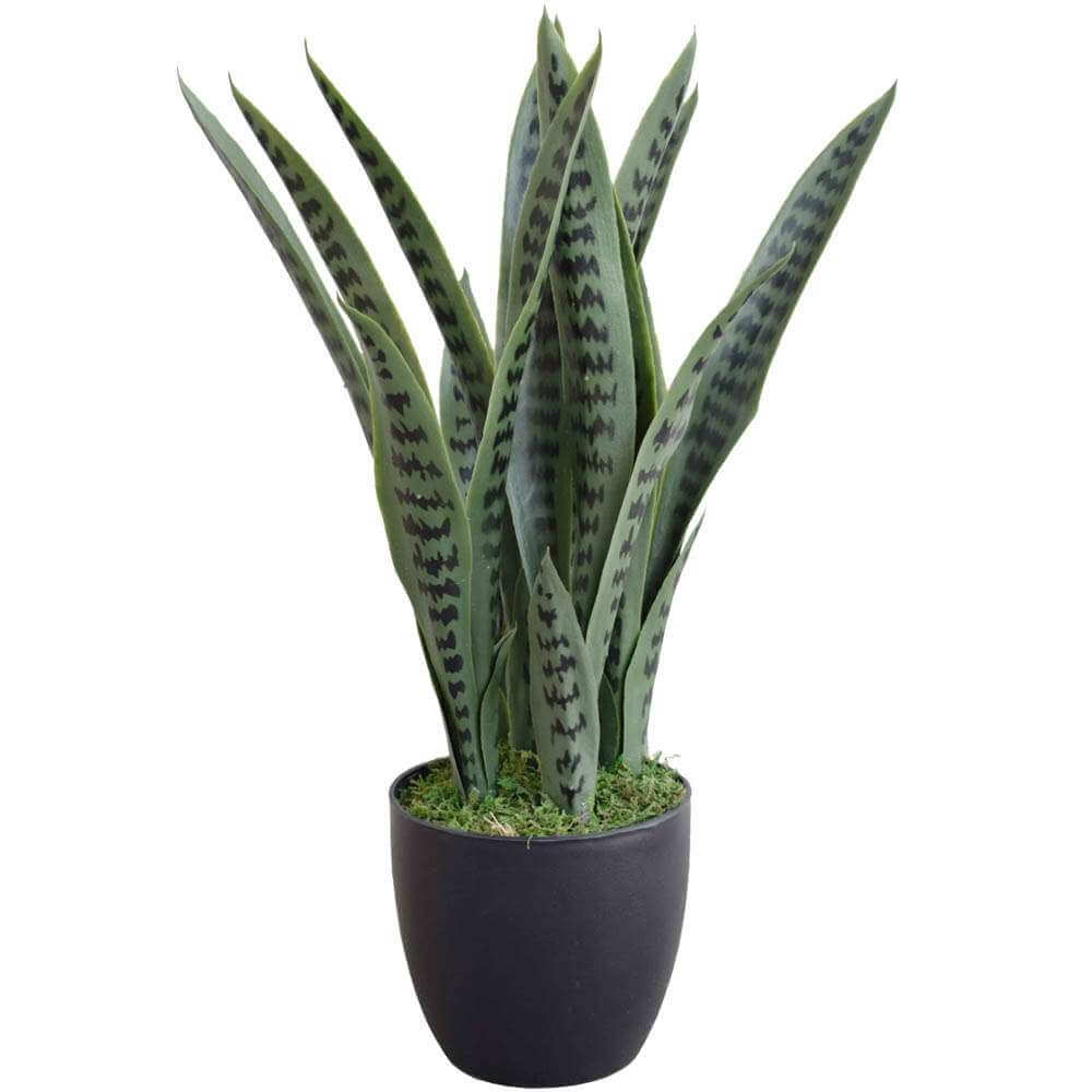 Artificial Snake Plant Sansevieria UV Resistant 60cm — gallery image