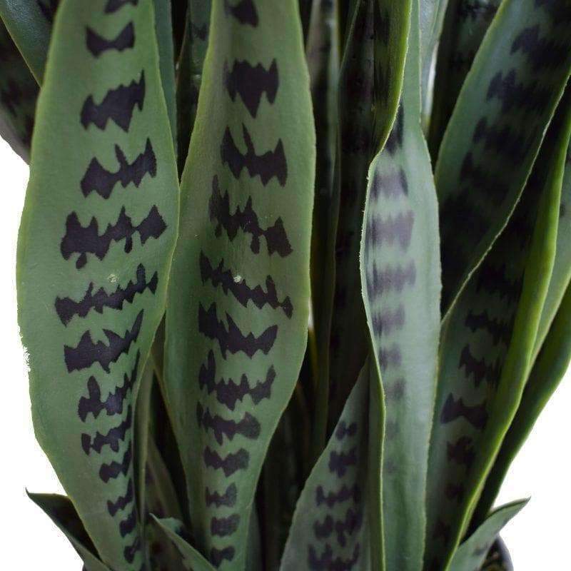 Artificial Snake Plant Sansevieria UV Resistant 60cm - Designer Vertical Gardens Artificial Shrubs and Small plants Artificial Yellow Tongue