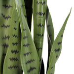 Artificial Snake Plant Sansevieria UV Resistant 85cm - Designer Vertical Gardens Artificial Shrubs and Small plants Artificial Trees