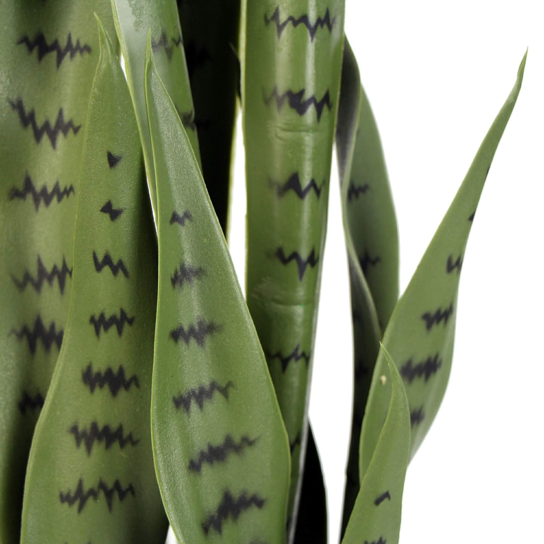 Artificial Snake Plant Sansevieria UV Resistant 85cm - Designer Vertical Gardens Artificial Shrubs and Small plants Artificial Trees