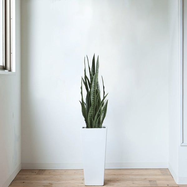 Artificial Snake Plant Sansevieria UV Resistant 90cm — view 3