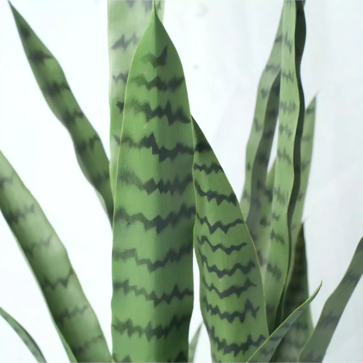 Artificial Snake Plant Sansevieria UV Resistant 90cm — gallery image