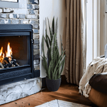Cozy living room with a fireplace, potted plant, and window with curtains.