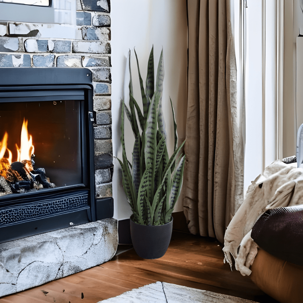 Cozy living room with a fireplace, potted plant, and window with curtains.