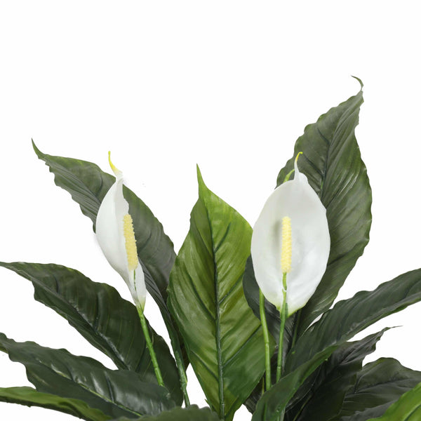 Artificial Spathiphyllum Peace Lily Plant with White Flowers 60cm — gallery image 4