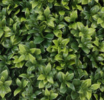 Artificial Topiary with Ground Spike 75cm x 40cm - UV Protected Plant - Designer Vertical Gardens Artificial Plants artificial shrubs