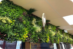 Green wall with various plants inside a building