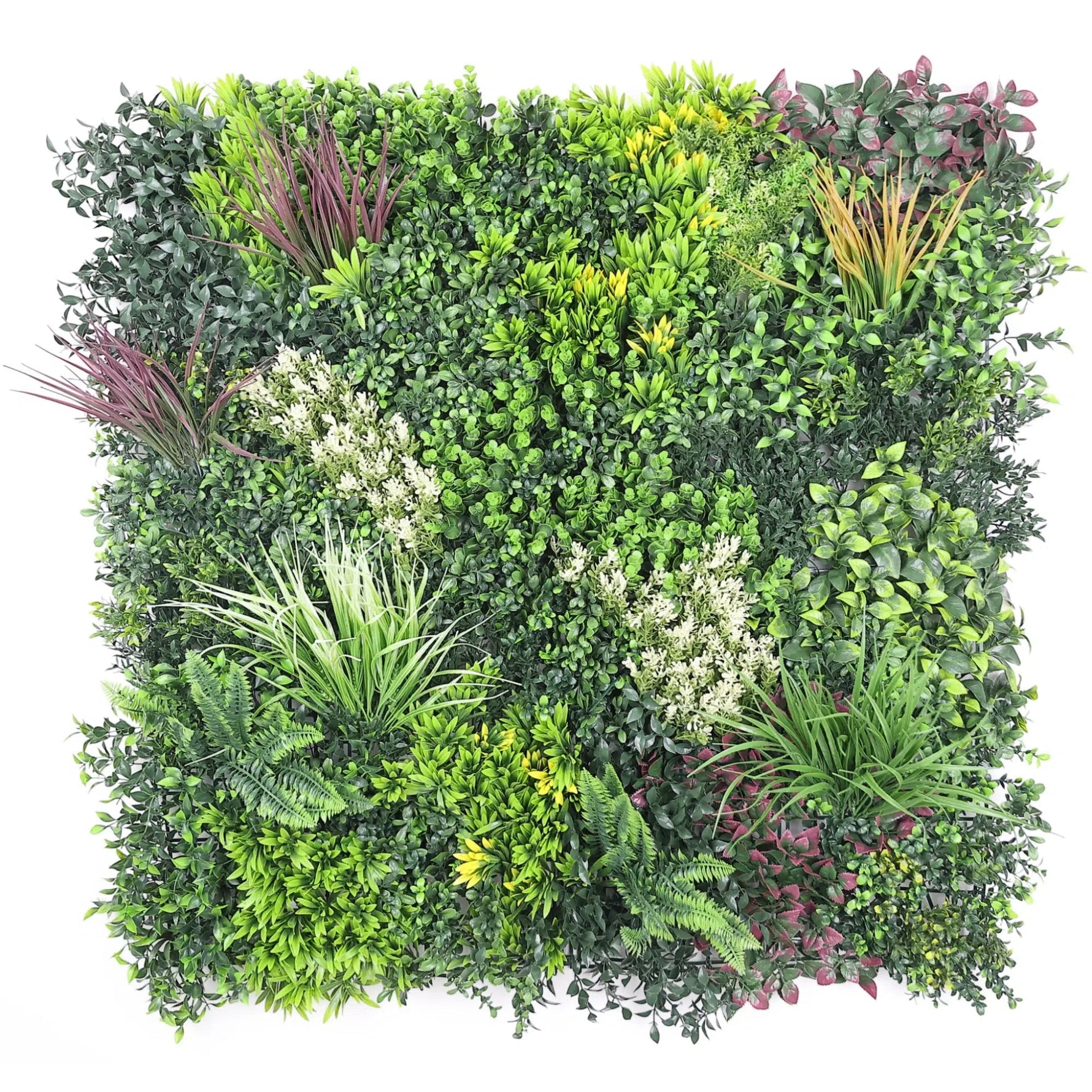 Artificial green wall panel with various green plants on a white background