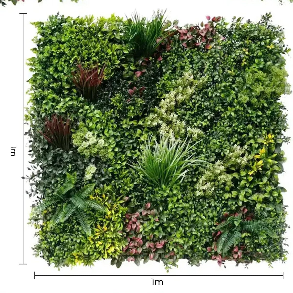 Artificial green wall panel with various green plants and dimensions indicated.