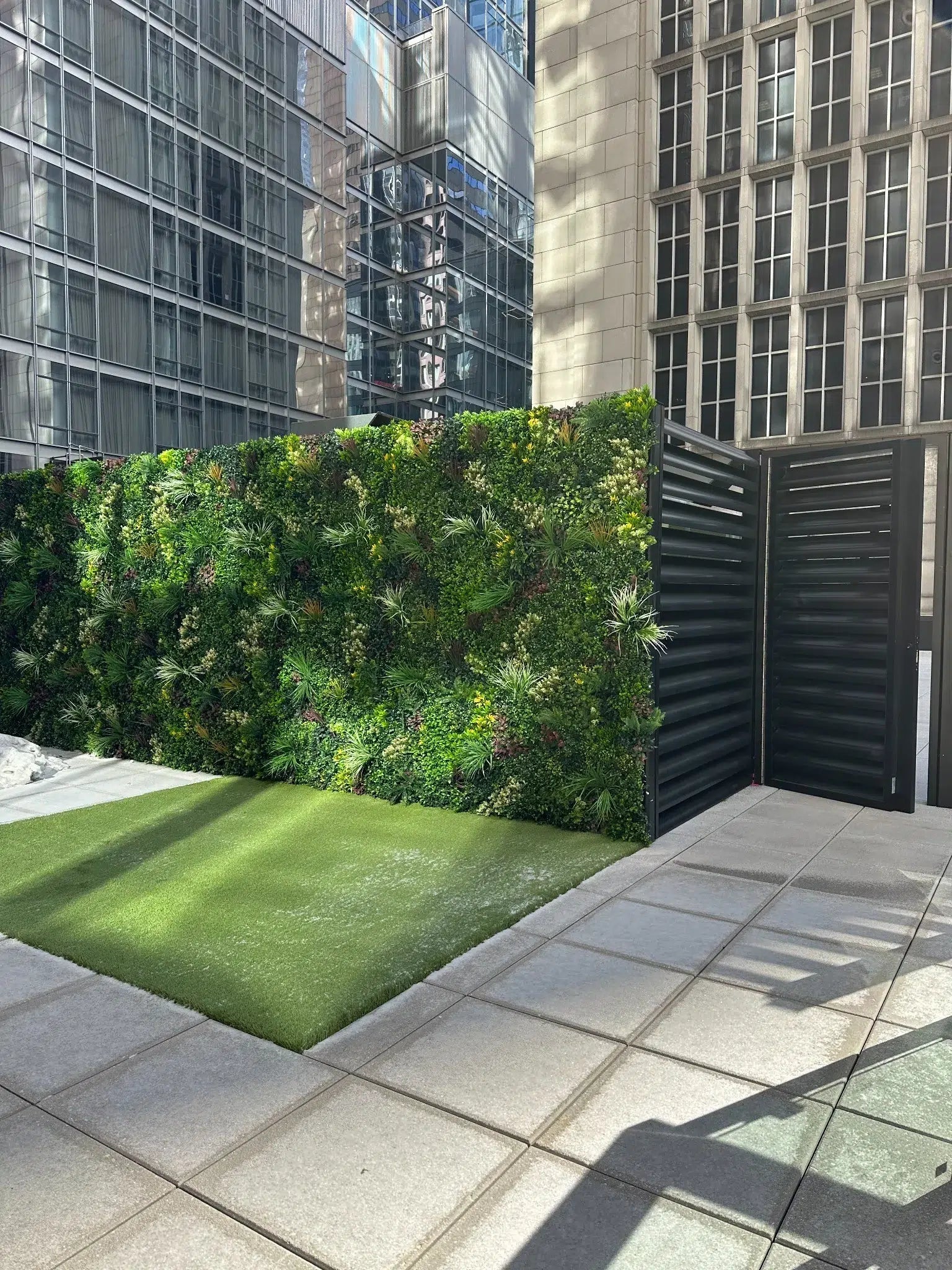 Urban garden with green wall and paved area in front of a building