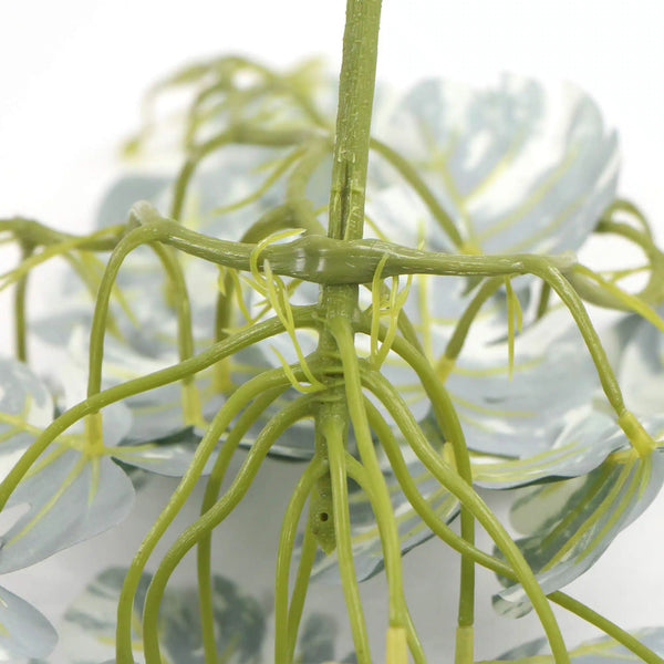 Artificial Hanging White & Green Monstera Albo Variegata 45cm — gallery image 4