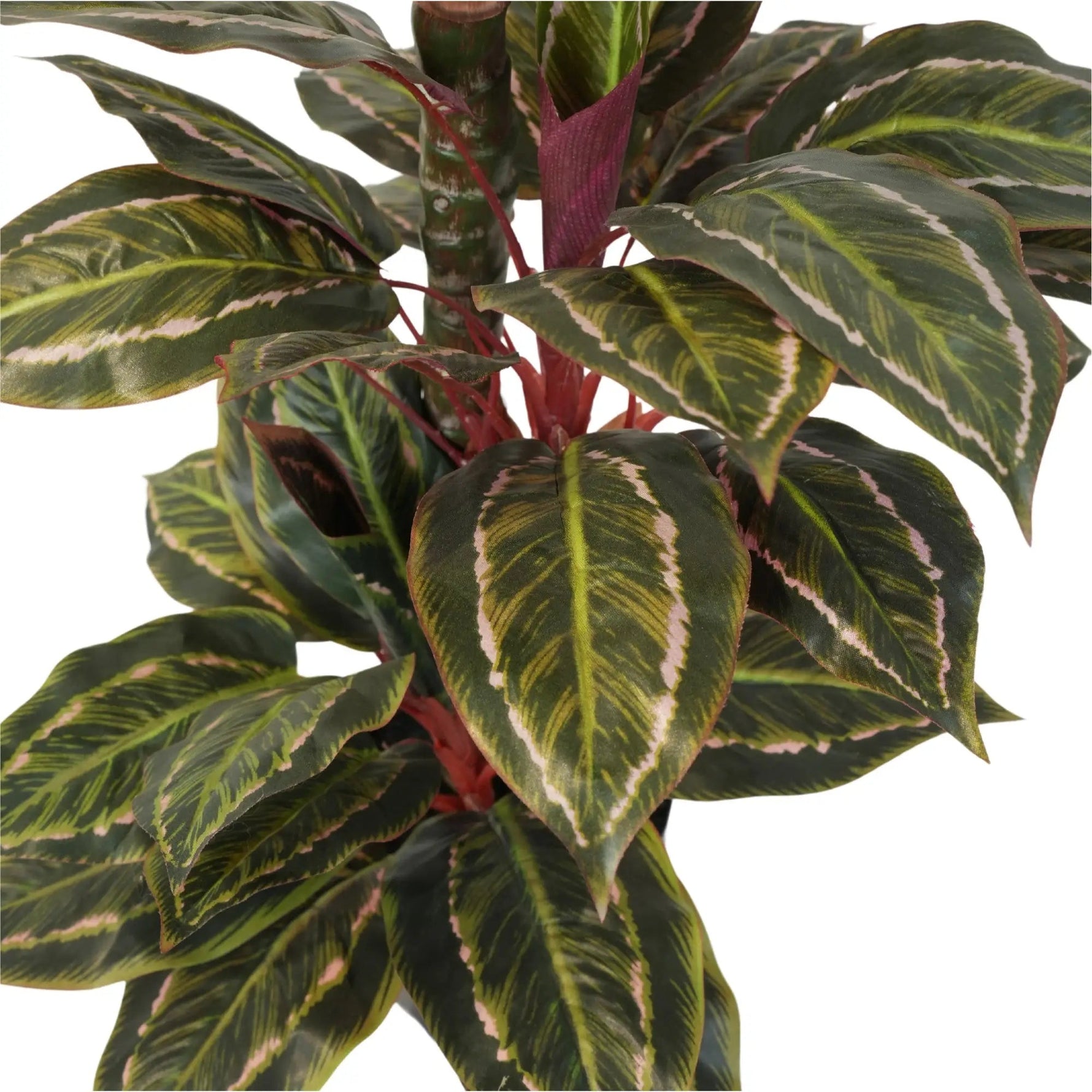 Artificial Wide Leaf Cordyline Plant 90cm - Designer Vertical Gardens artificial garden wall plants artificial green wall australia