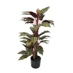 Artificial Wide Leaf Cordyline Plant 90cm - Designer Vertical Gardens artificial garden wall plants artificial green wall australia