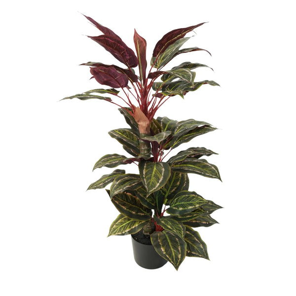 Artificial Wide Leaf Cordyline Plant 90cm