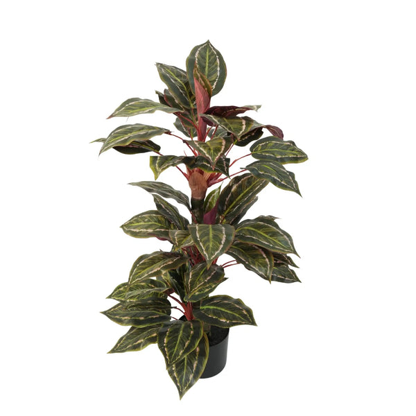 Artificial Wide Leaf Cordyline Plant 90cm - image 4