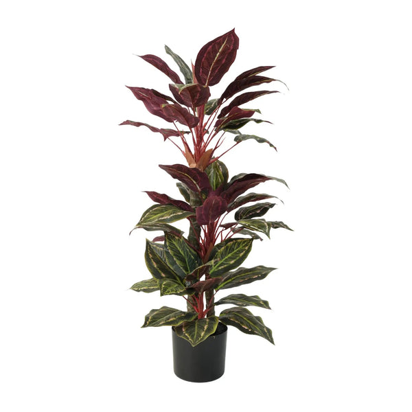 Artificial Wide Leaf Cordyline Plant 90cm — gallery image 6