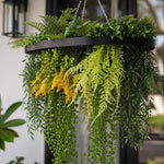 Hanging basket with green ferns and yellow flowers against a blurred background