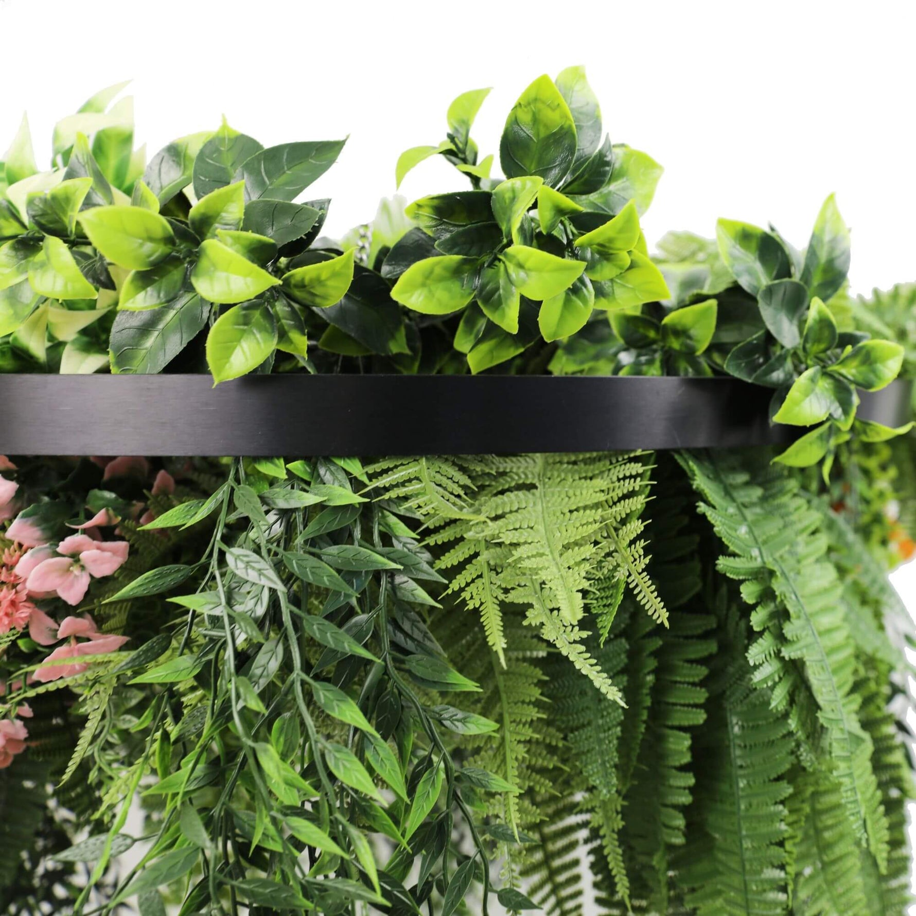 Artificial greenery including ferns and other plants on a black shelf against a white background