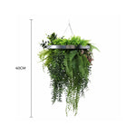 Hanging green fern plant with a 40cm label on a white background