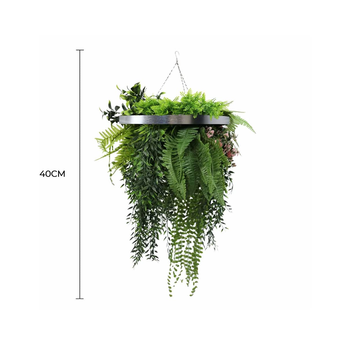 Hanging green fern plant with a 40cm label on a white background