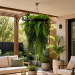Hanging fern plant in a patio setting with outdoor furniture and plants.