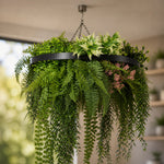 Hanging plant chandelier with greenery in a room setting