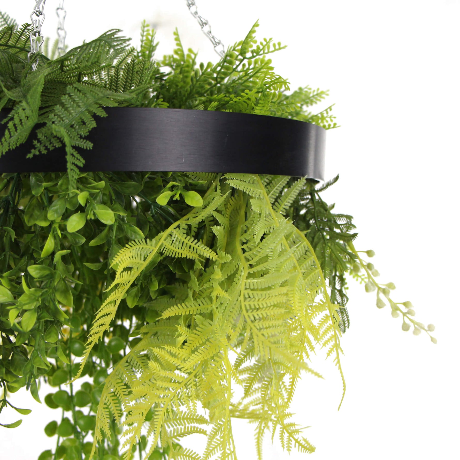 Black Framed Roof Hanging Disc With Draping Life - Like Plants 40cm - Designer Vertical Gardens hanging fern hanging garland