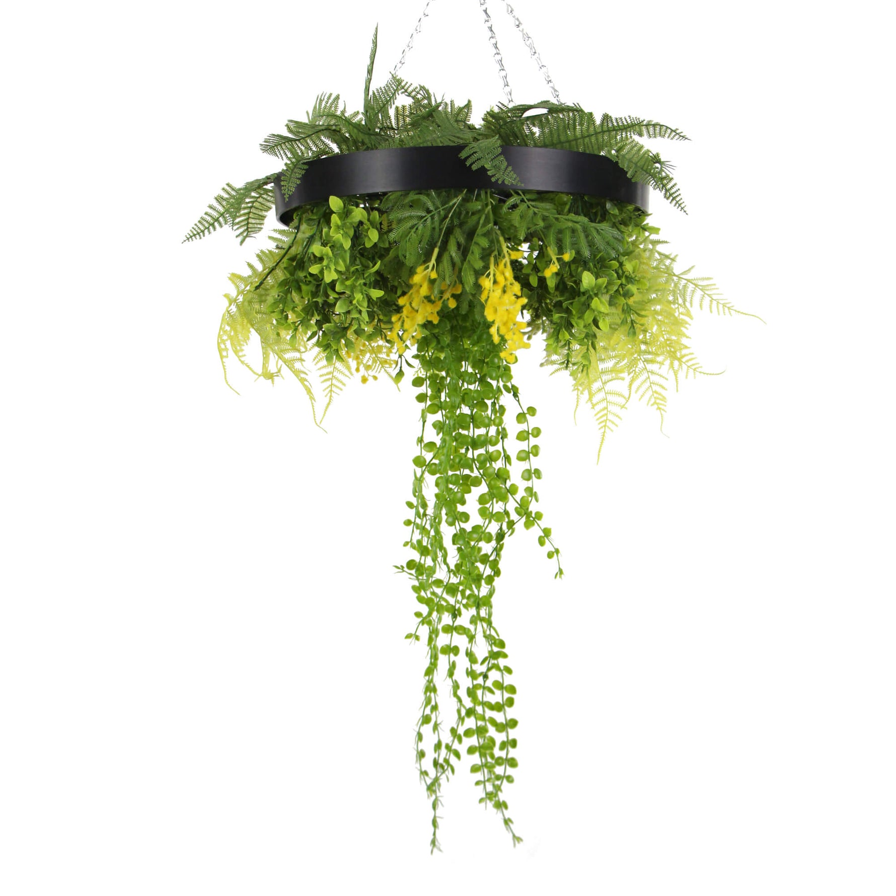 Black Framed Roof Hanging Disc With Draping Life - Like Plants 40cm - Designer Vertical Gardens hanging fern hanging garland