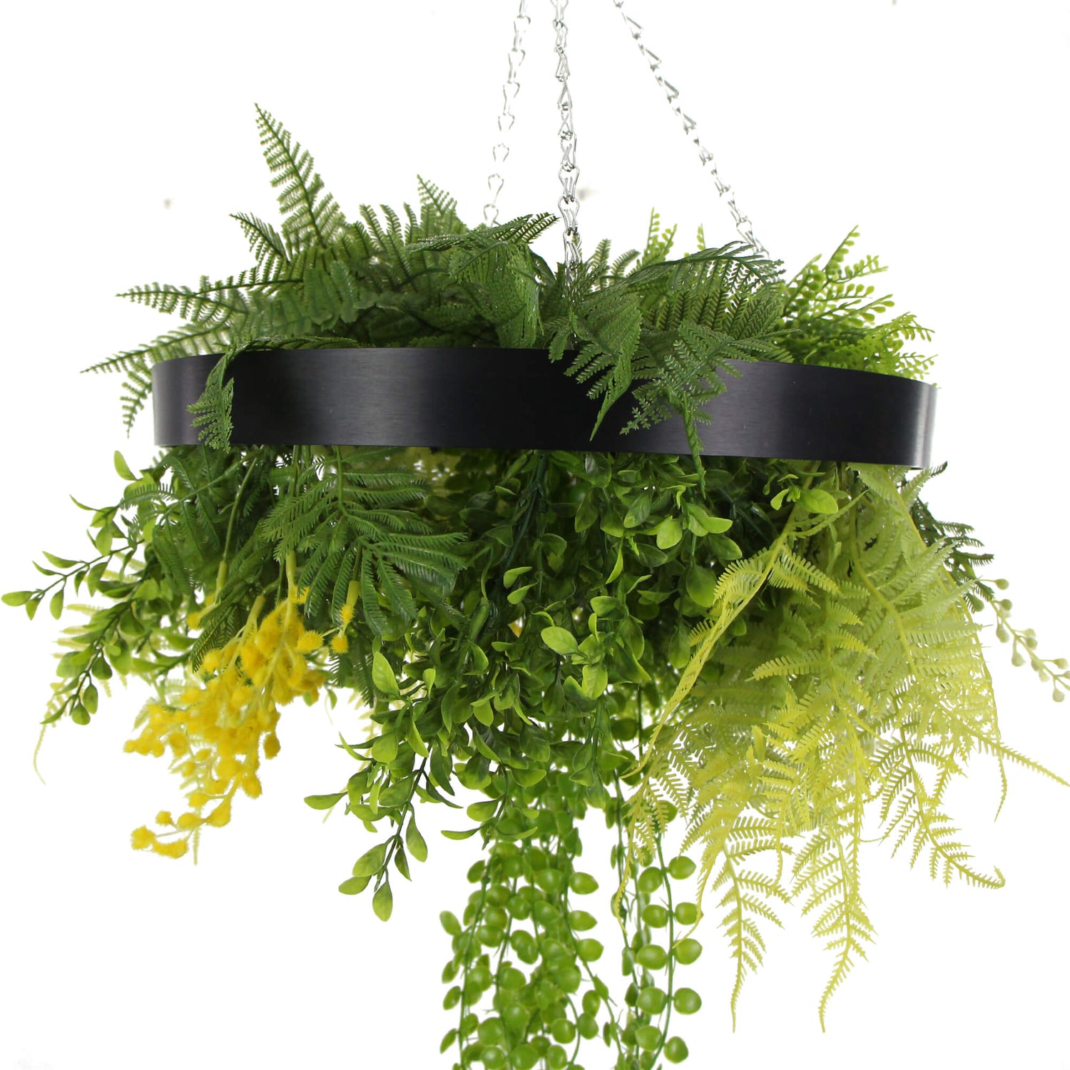 Black Framed Roof Hanging Disc With Draping Life - Like Plants 40cm - Designer Vertical Gardens hanging fern hanging garland