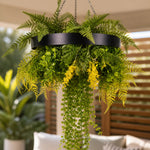 Hanging fern plant with green and yellow leaves in a black pot against a blurred outdoor background.