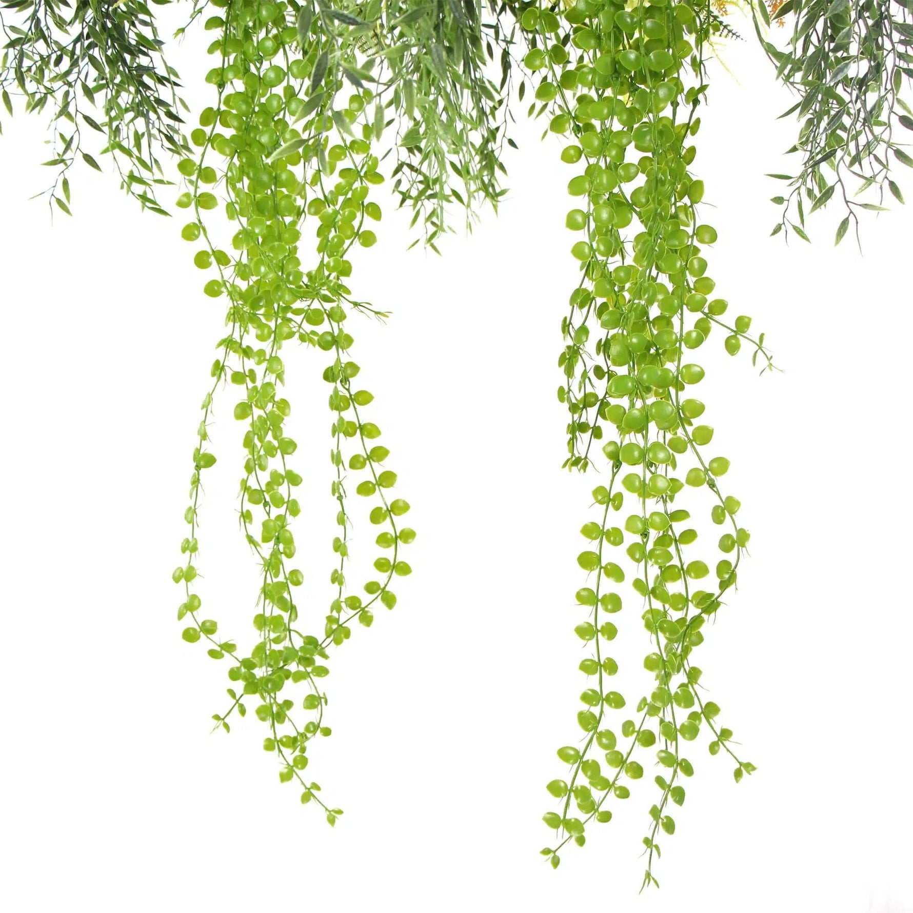 Black Framed Roof Hanging Disc With Draping Life - Like Plants 60cm - Designer Vertical Gardens hanging plants