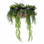 Hanging plant with green leaves and pink flowers on a white background